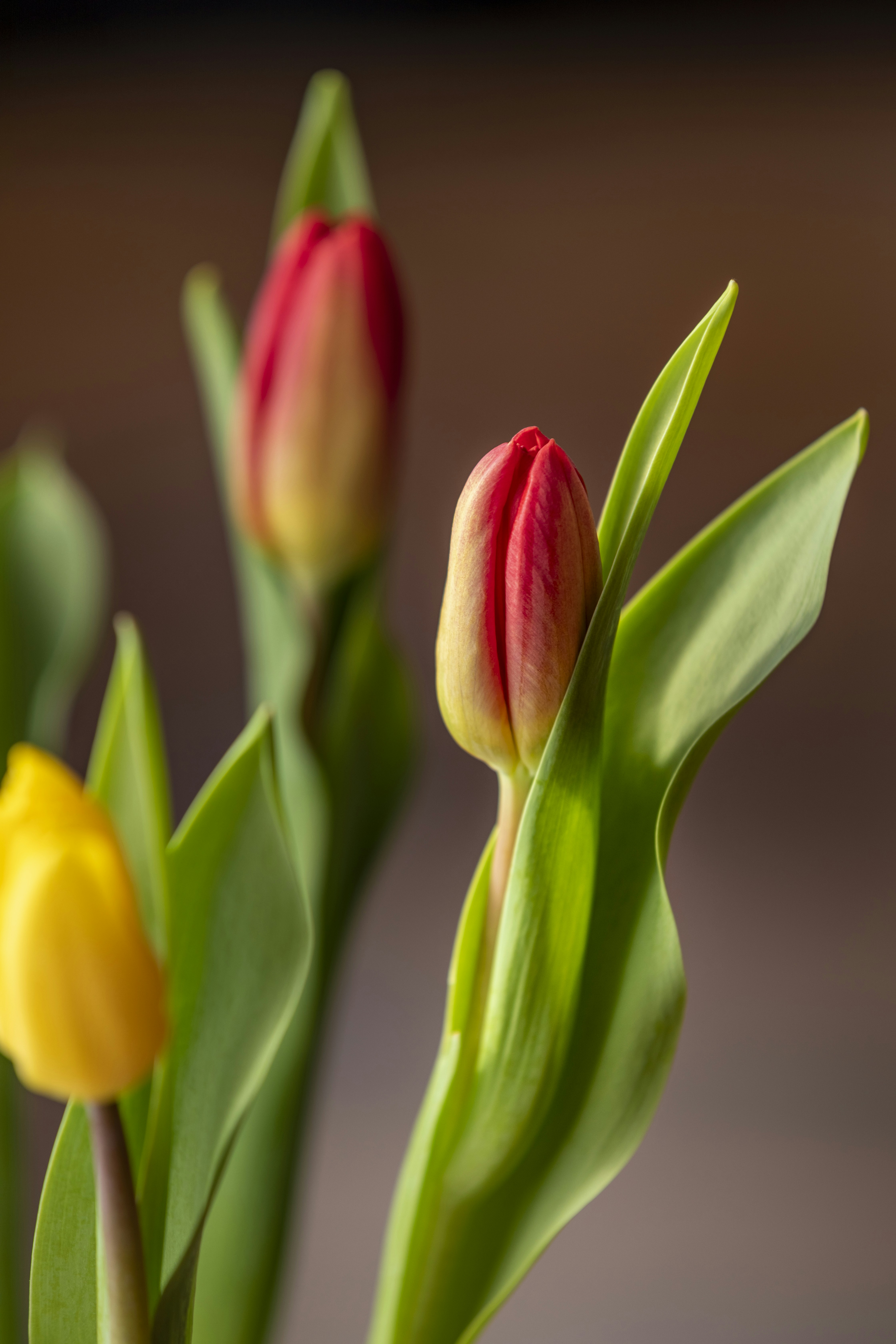 Photo by ovidiugruescu