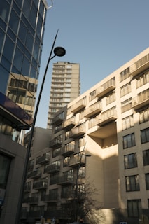 Street view of a tree-lined avenue with modern buildings and clear sky.