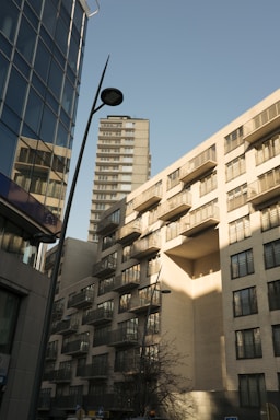 Street view of a tree-lined avenue with modern buildings and clear sky.