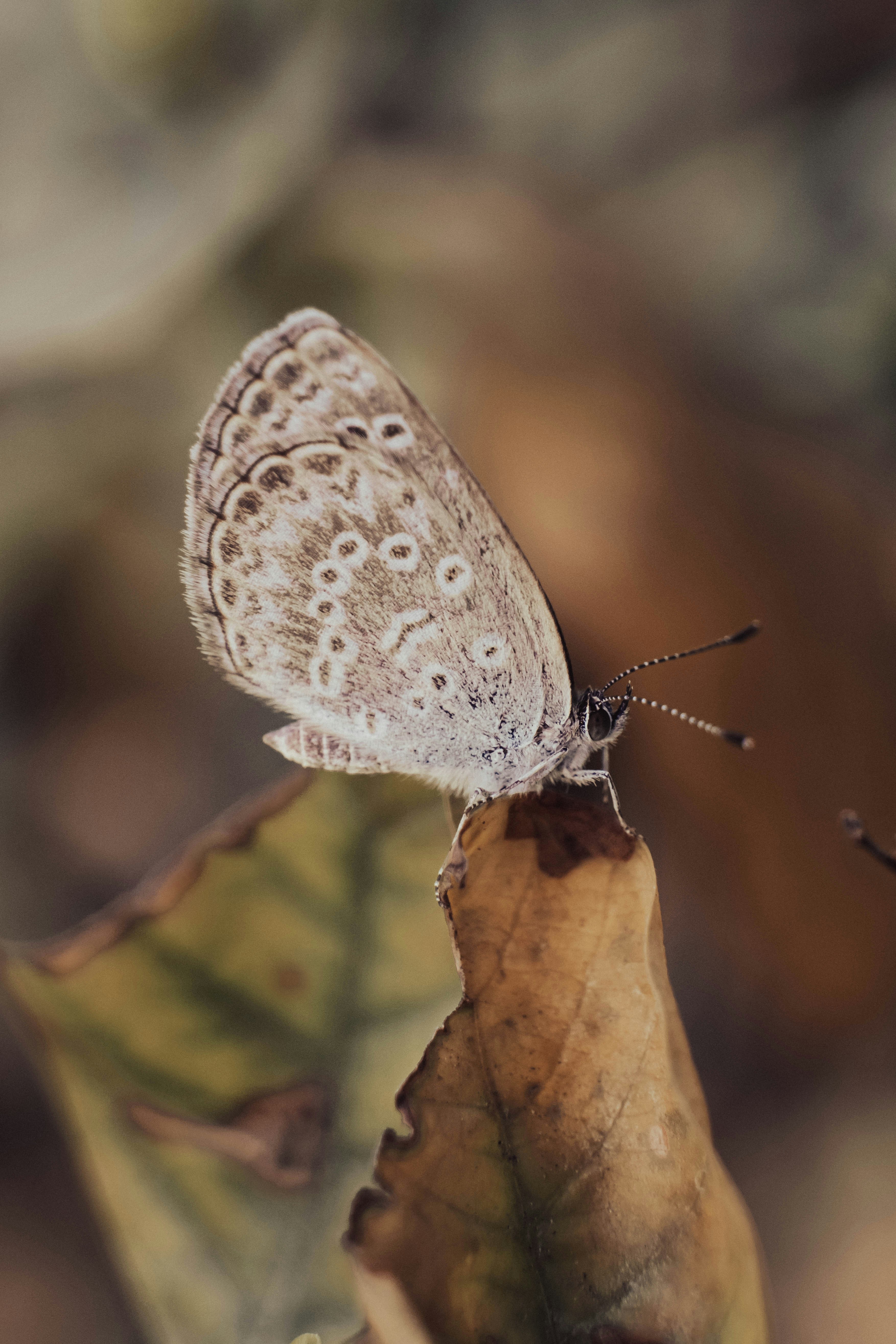Photo by hieptltb97