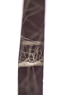 Close-up of a black lace spider web table runner with tiny silver spiders.