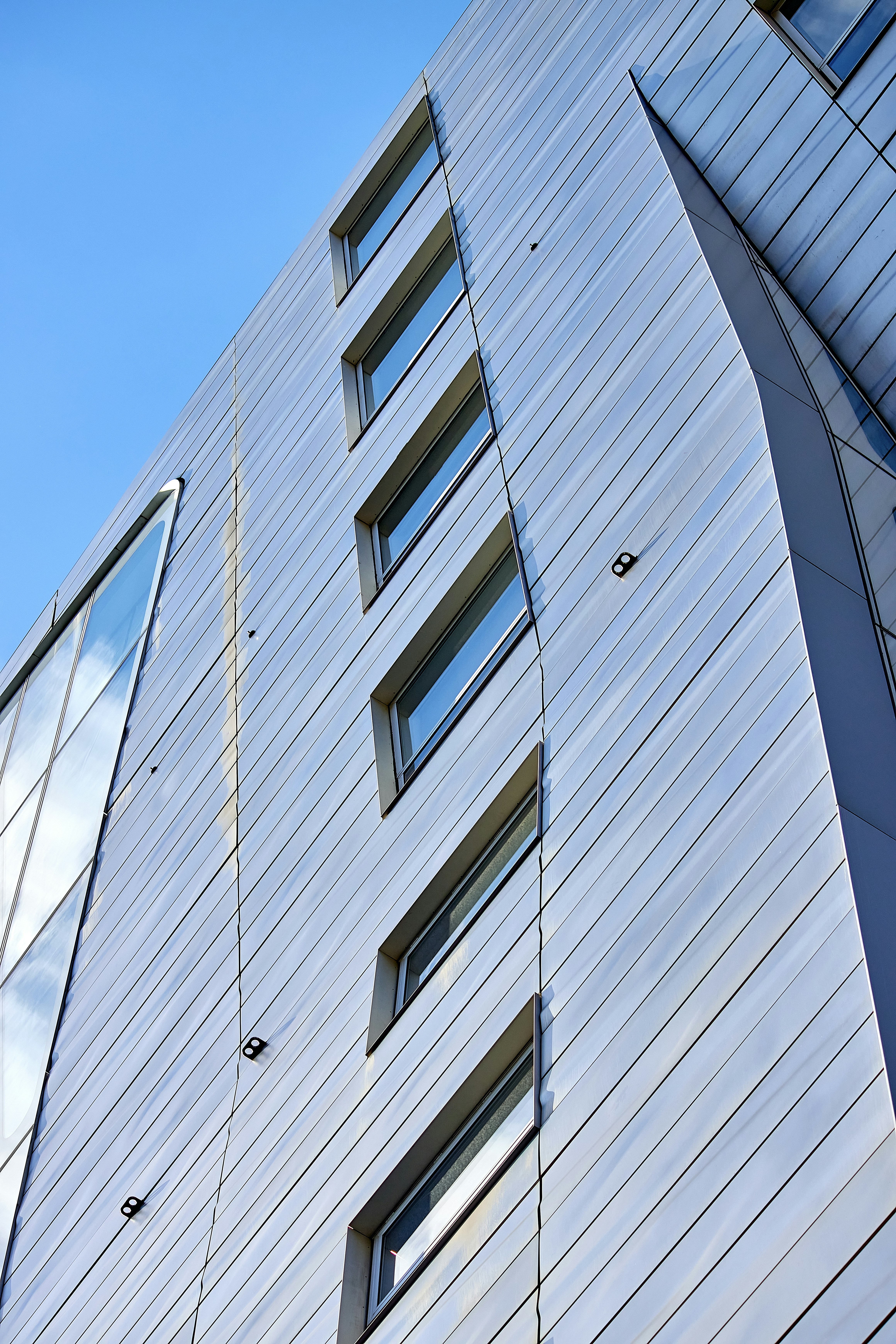 Photo by oscarsalgado