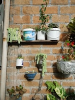 A rustic brick wall serves as the backdrop for various potted plants. Some are planted in upcycled containers like plastic buckets and a tin can. Succulents and other greenery hang and sit on shelves of varying heights, creating a casual and eclectic display.