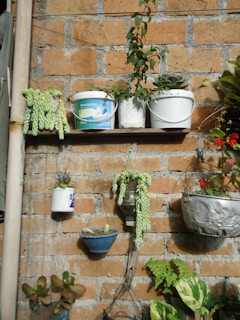 A rustic brick wall serves as the backdrop for various potted plants. Some are planted in upcycled containers like plastic buckets and a tin can. Succulents and other greenery hang and sit on shelves of varying heights, creating a casual and eclectic display.