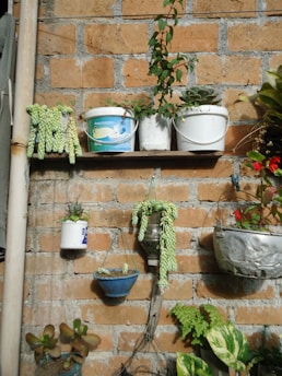 A rustic brick wall serves as the backdrop for various potted plants. Some are planted in upcycled containers like plastic buckets and a tin can. Succulents and other greenery hang and sit on shelves of varying heights, creating a casual and eclectic display.