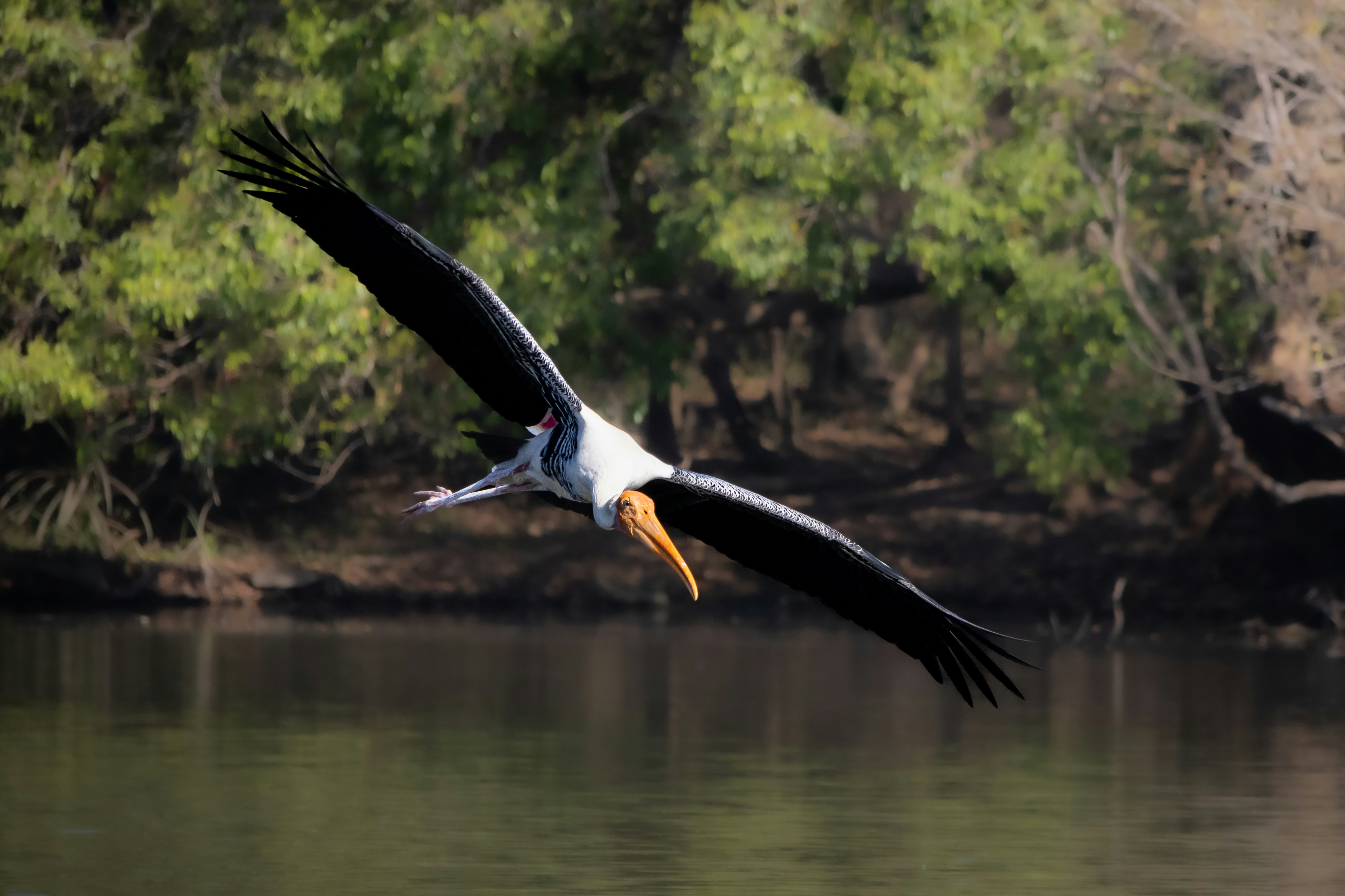 Photo by sameer_srivastava