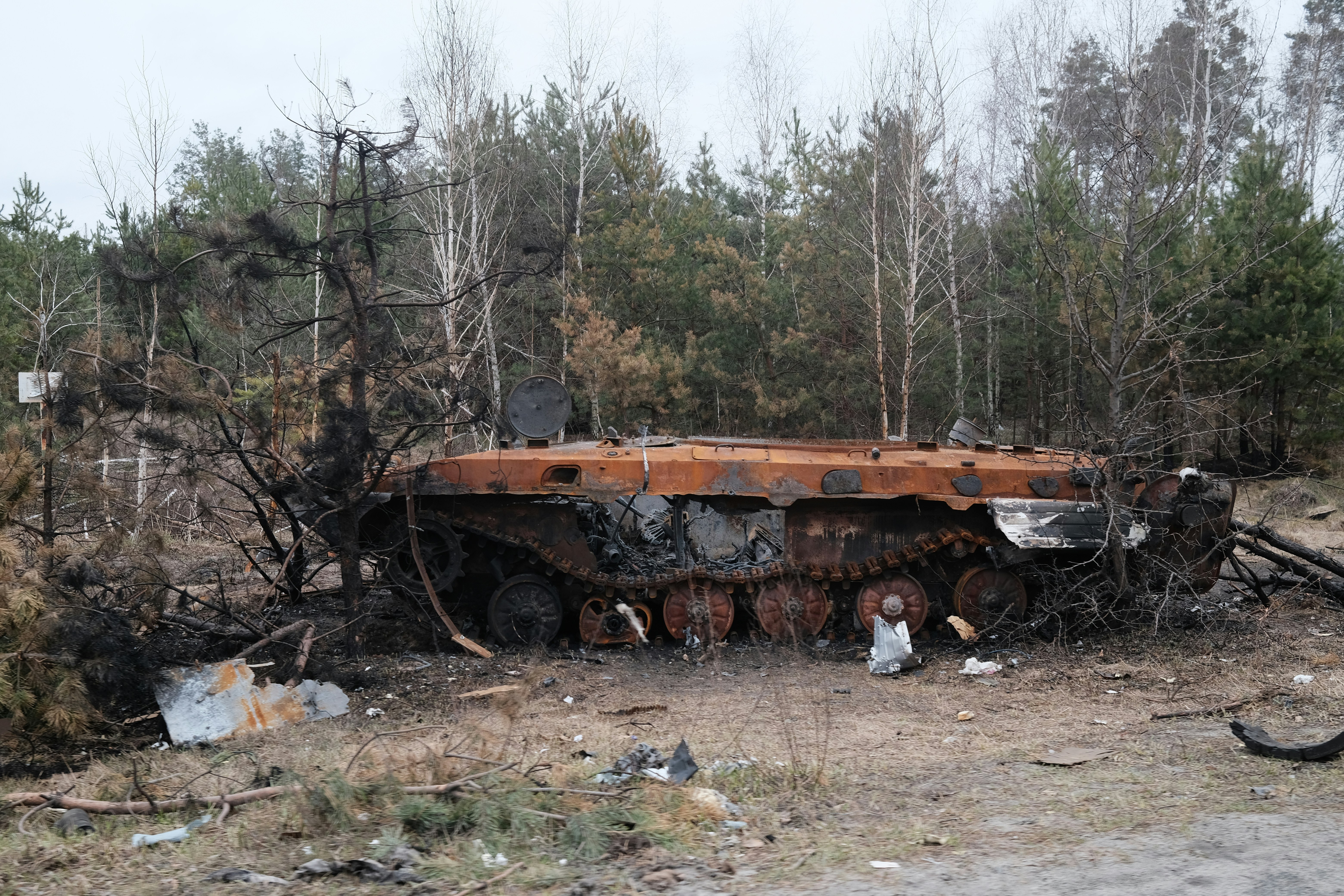 een verroeste vrachtwagen midden in een bos