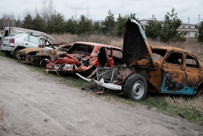 Several abandoned and rusted cars are lined up on a grassy area next to a paved path. The vehicles are in various stages of decay, with rust covering much of the bodywork. A few trees and buildings are visible in the background.