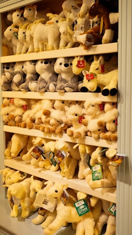 a shelf filled with lots of stuffed animals