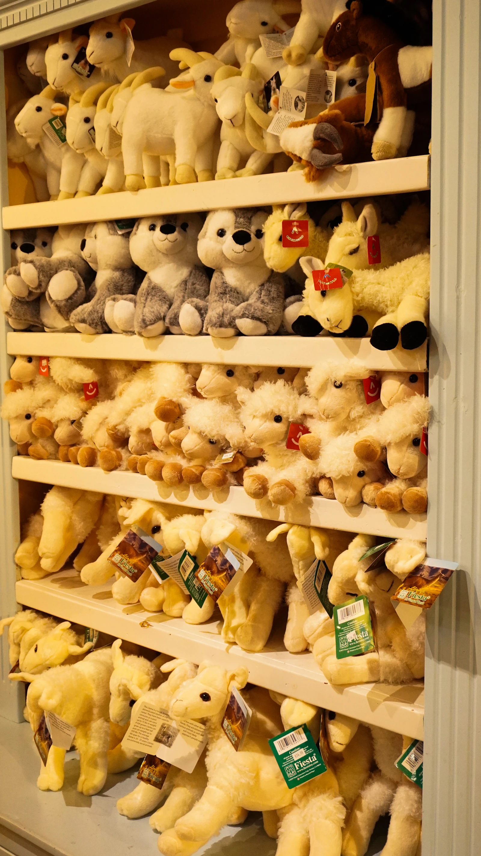 Retail shelf with merchandise display