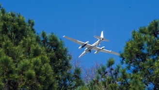 A white aircraft is flying above a densely wooded area with pine trees. The sky is clear and bright blue, indicating a sunny day.