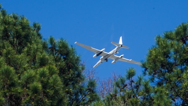 A white aircraft is flying above a densely wooded area with pine trees. The sky is clear and bright blue, indicating a sunny day.