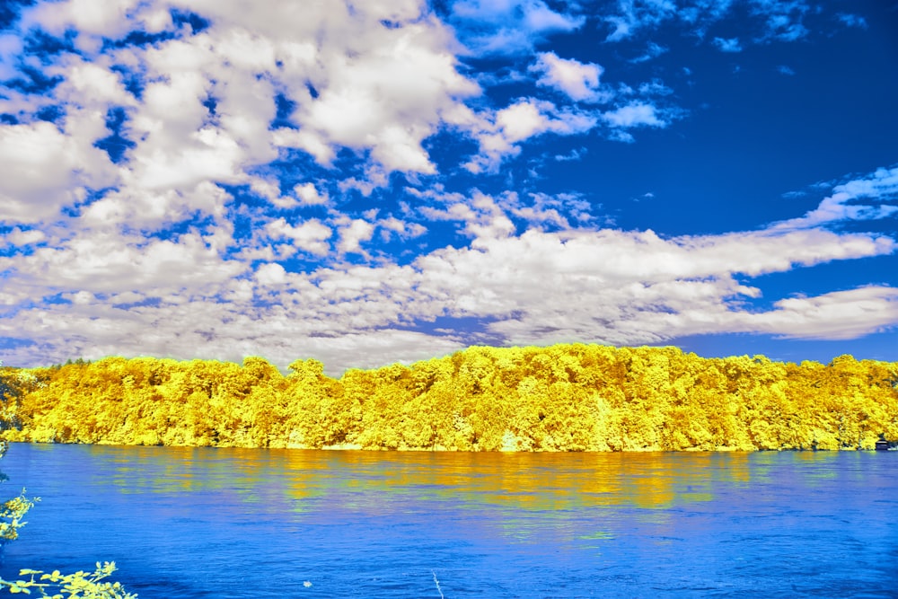 a large body of water surrounded by trees