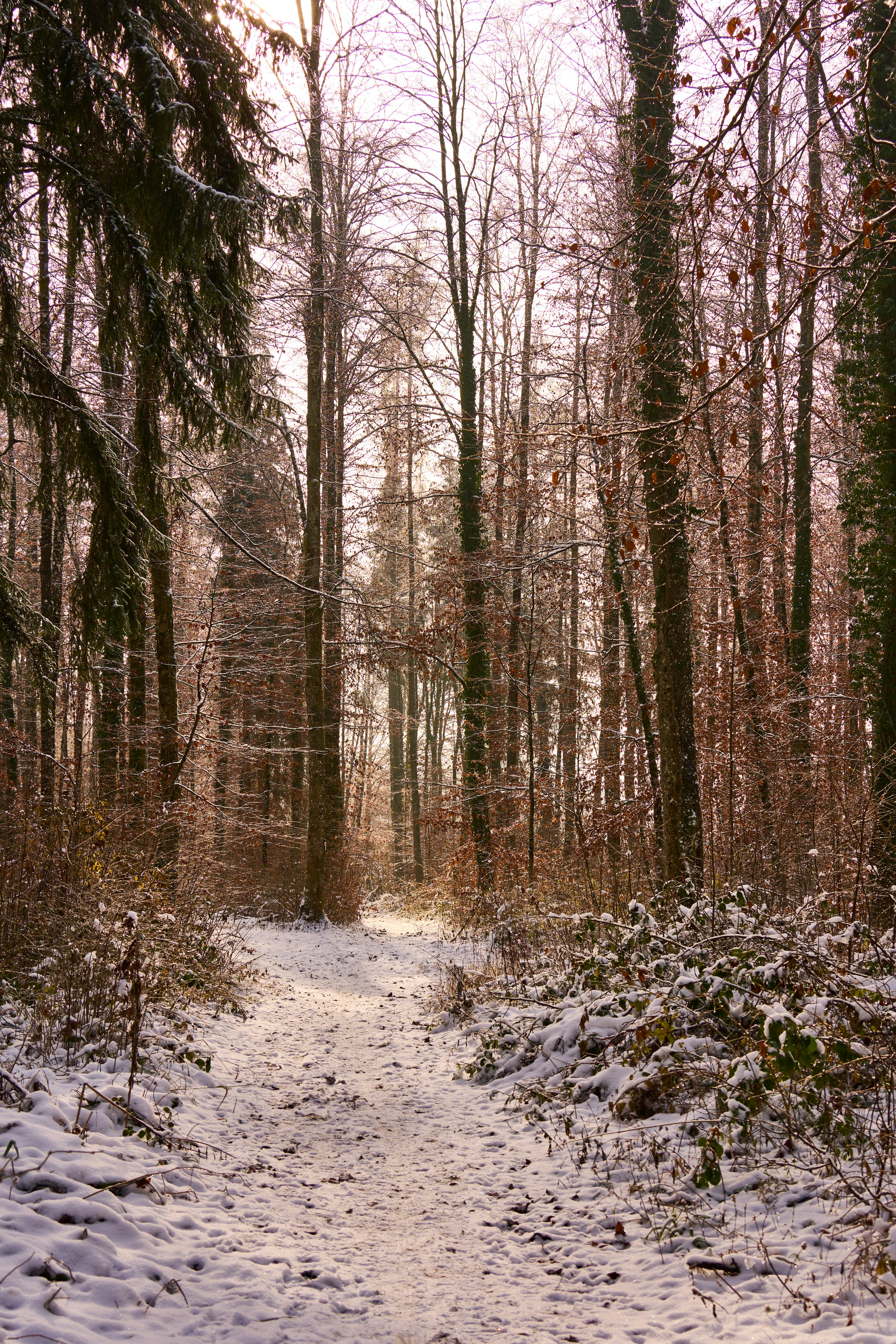 Photo by wolfgang_hasselmann