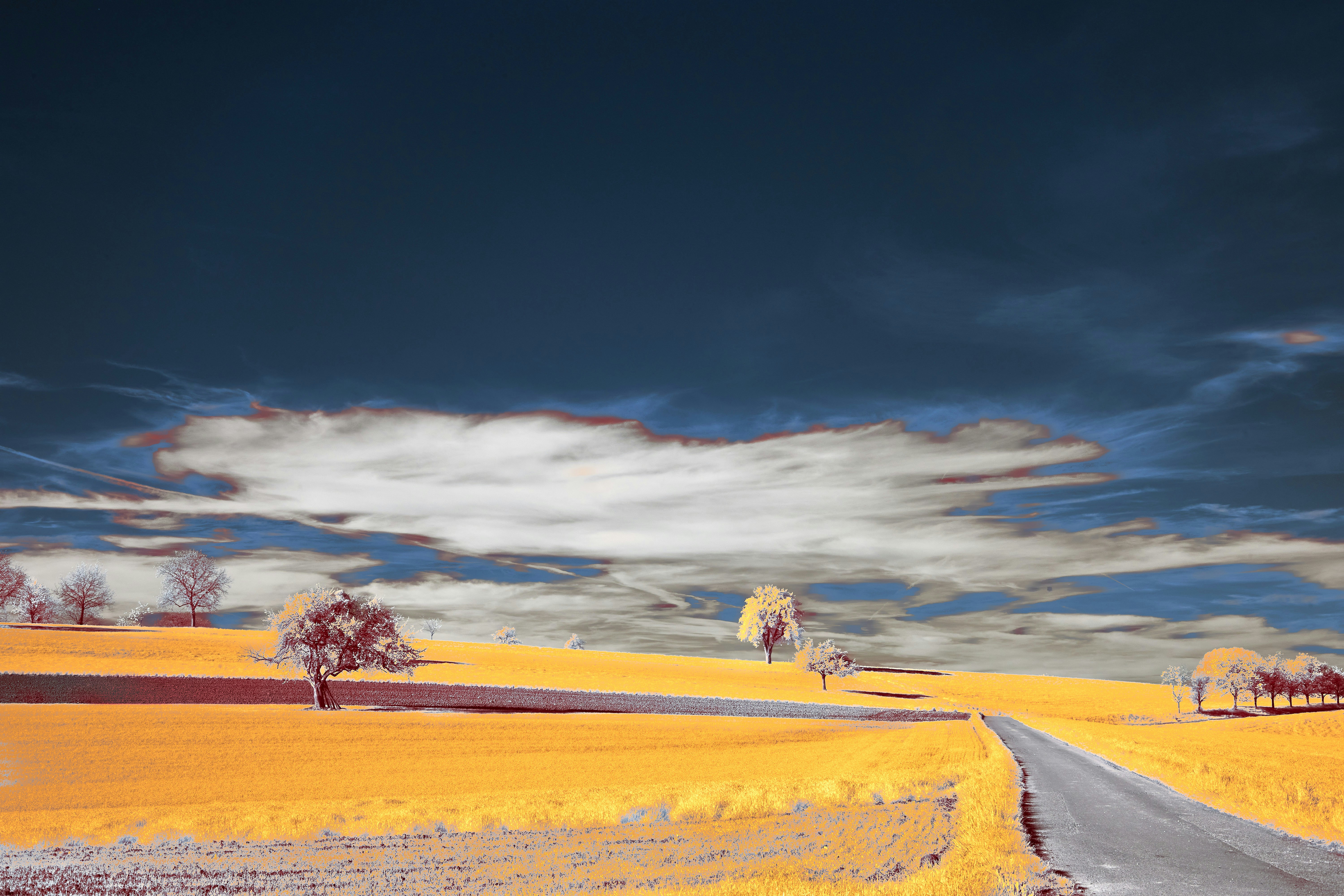 Photo by wolfgang_hasselmann