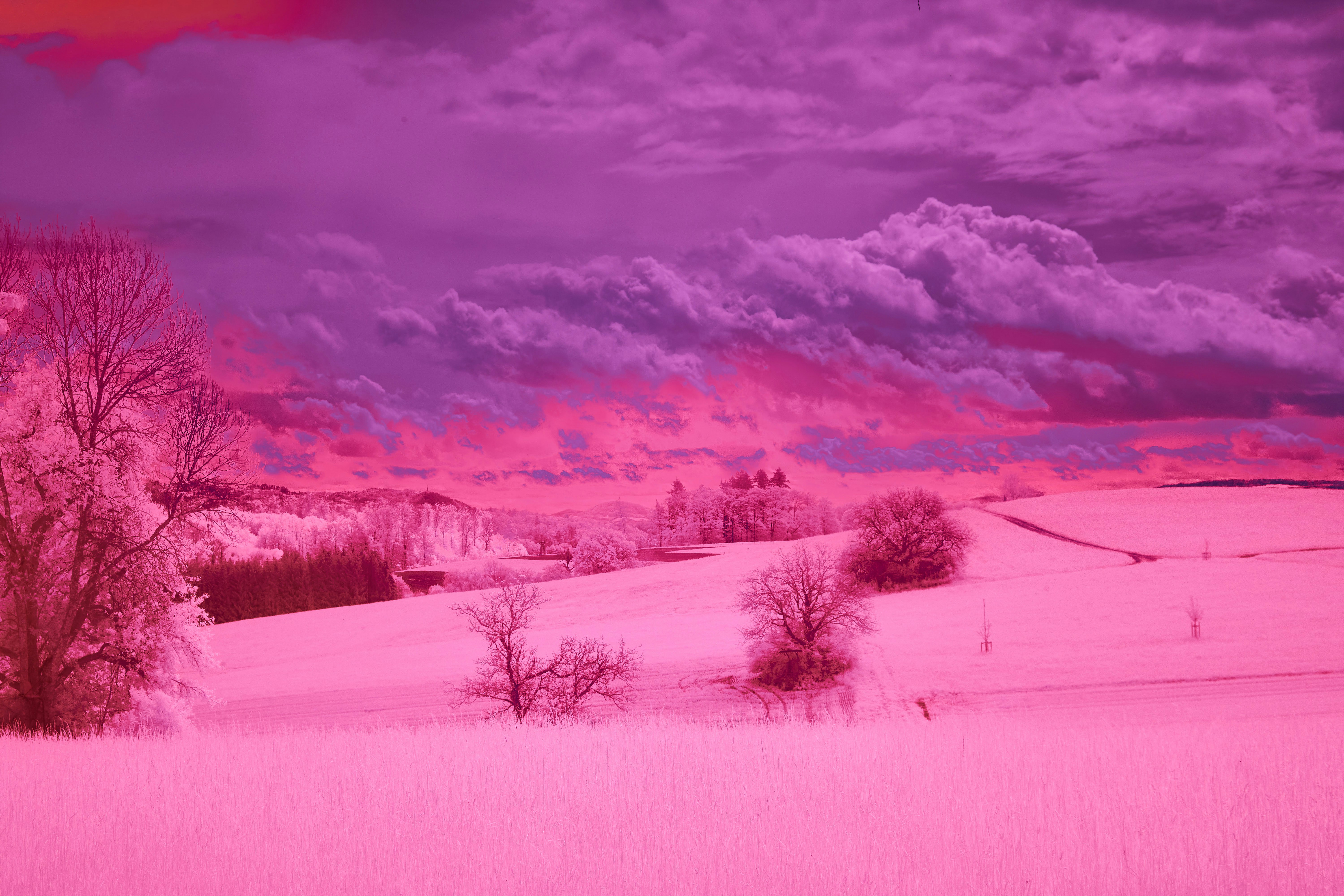 Photo by wolfgang_hasselmann