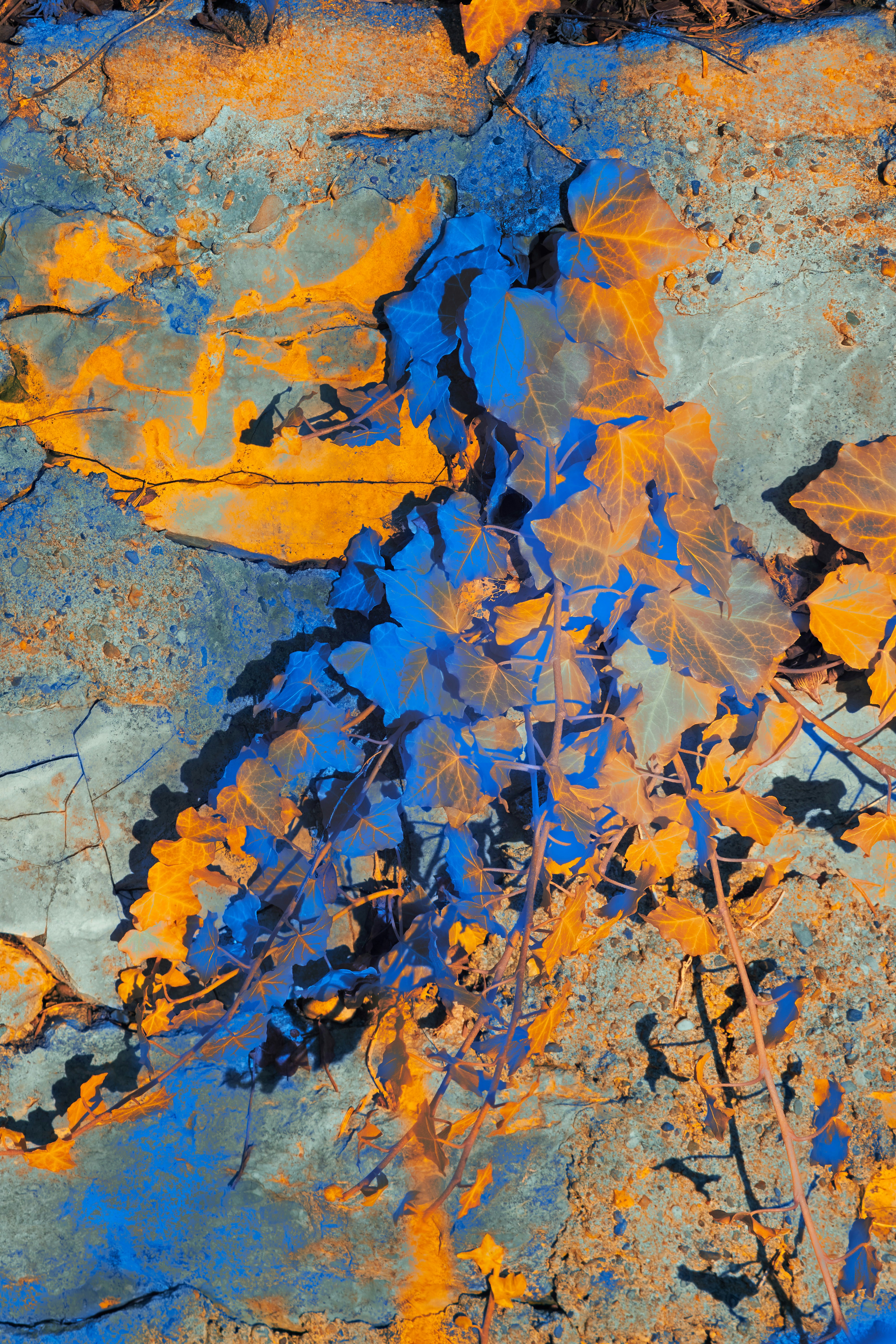 Photo by wolfgang_hasselmann