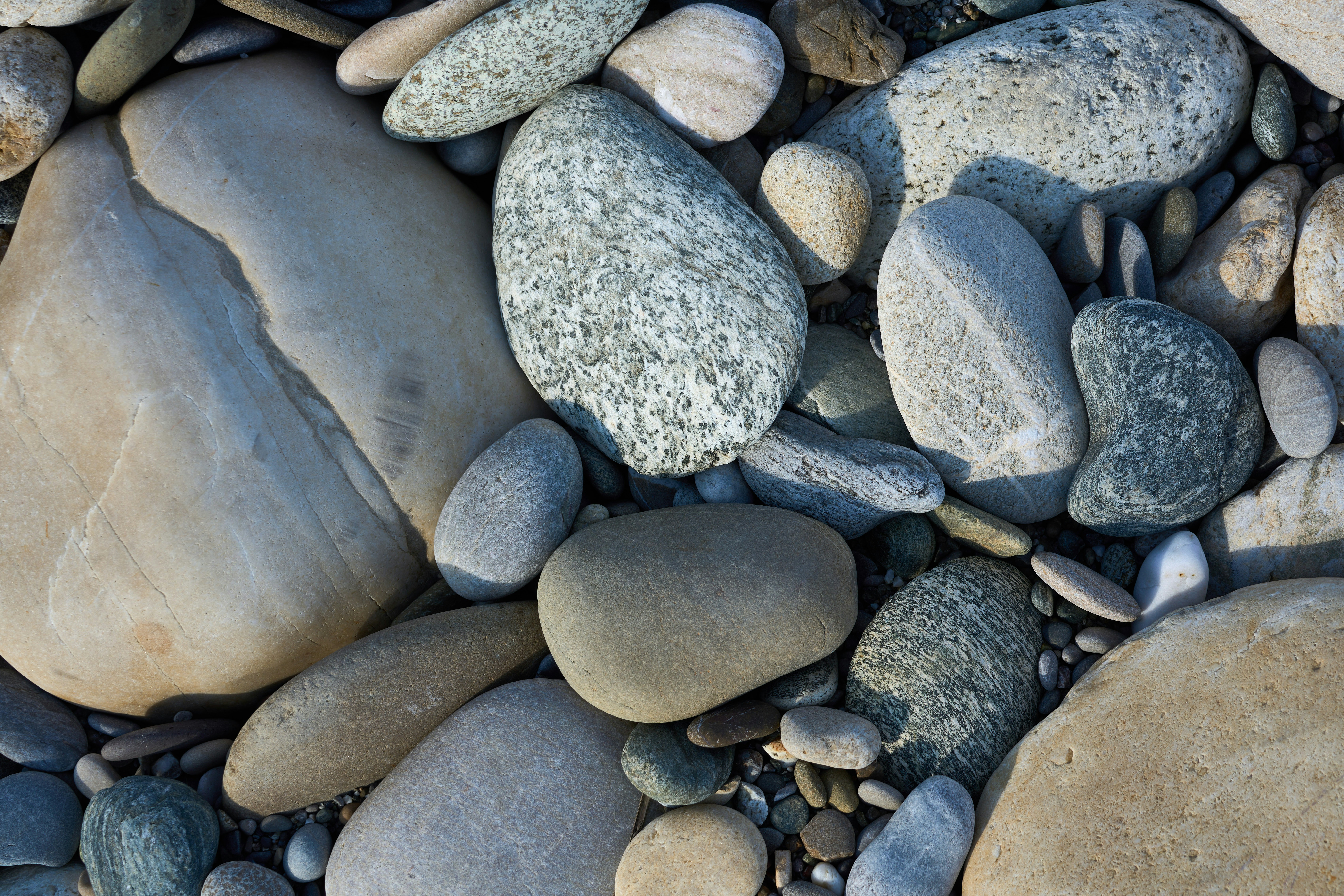 Photo by wolfgang_hasselmann