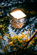 LED solar luminaires glowing warmly in a garden at dusk.