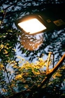 A bright LED street light illuminating green foliage against a dark evening sky. The light casts a warm glow on the leaves, creating contrasting shadows and highlights.
