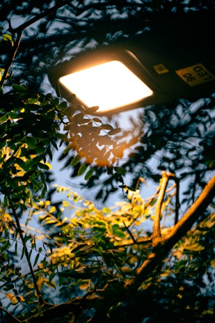 A bright LED street light illuminating green foliage against a dark evening sky. The light casts a warm glow on the leaves, creating contrasting shadows and highlights.