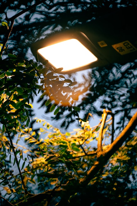 A bright LED street light illuminating green foliage against a dark evening sky. The light casts a warm glow on the leaves, creating contrasting shadows and highlights.