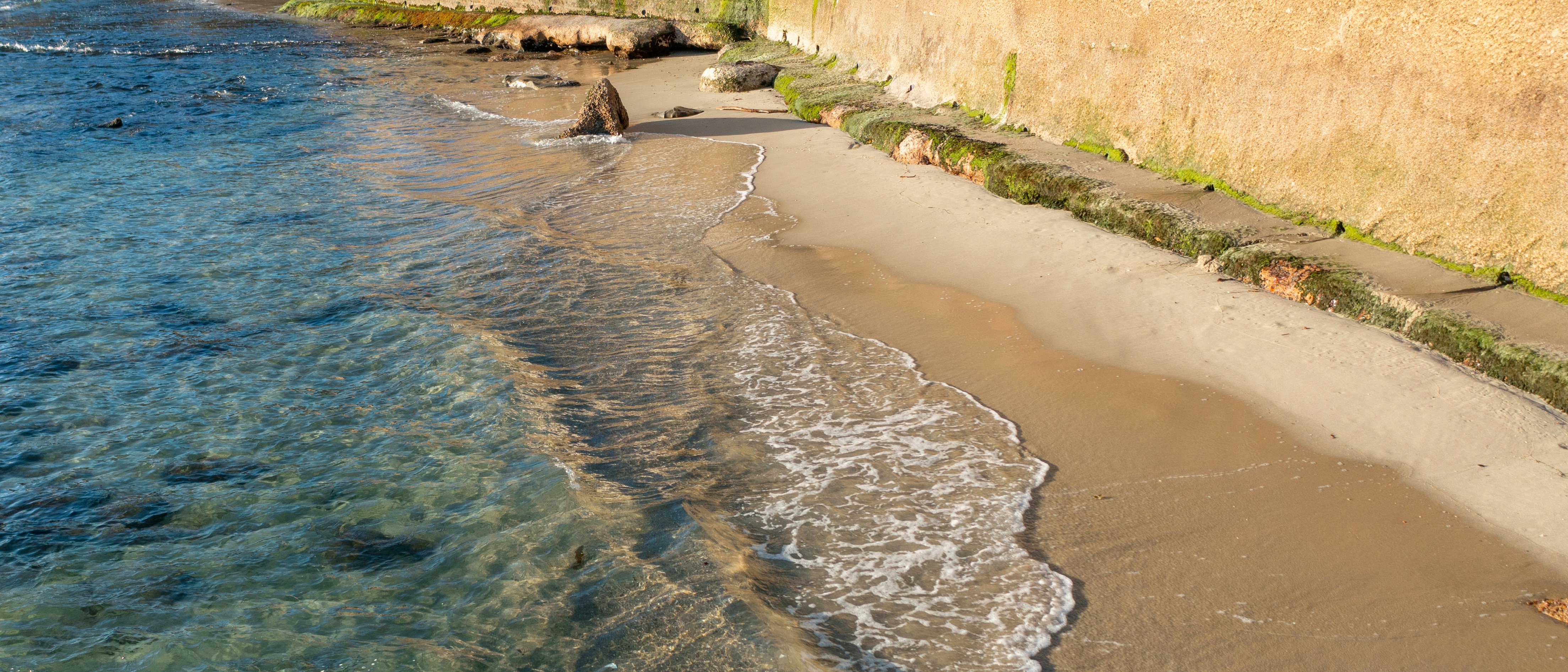 a sandy beach next to the ocean with waves coming in