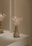 A decorative vase with a textured geometric design is placed on a minimalist surface. The vase contains delicate, light-colored flowers with small blossoms. The lighting is soft and casts gentle shadows on the vase and surface, creating a serene and elegant atmosphere.