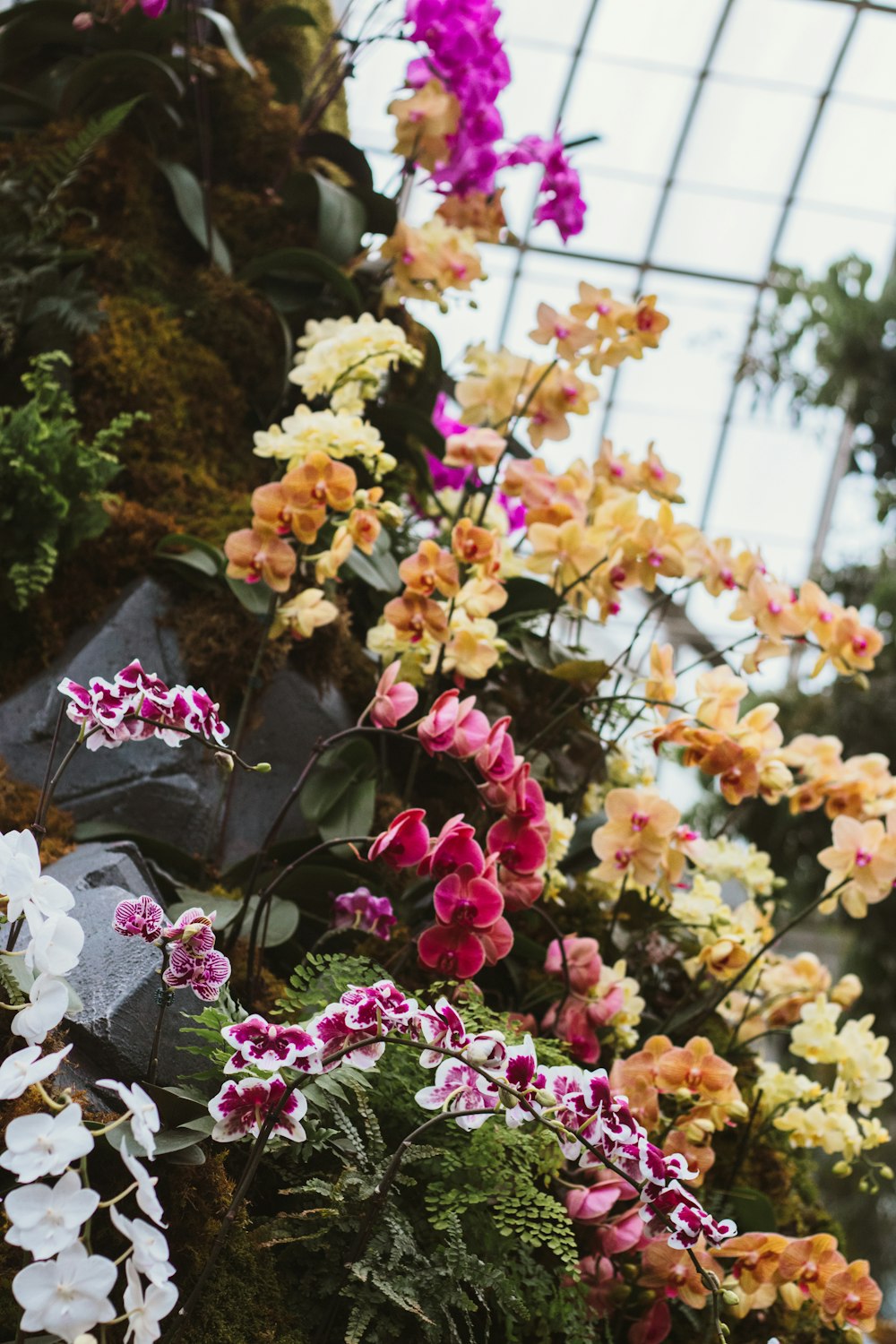 a bunch of flowers that are in a vase