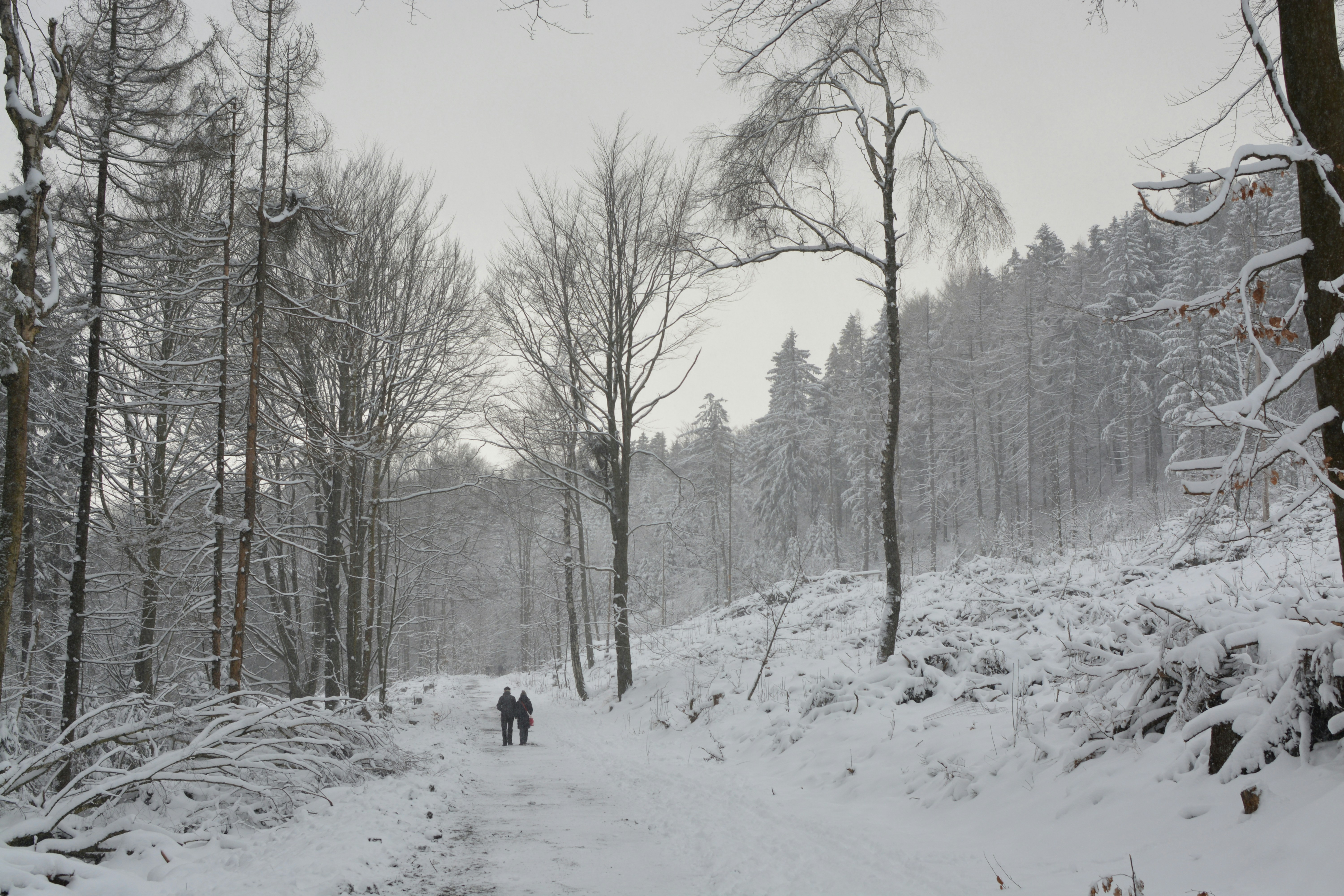 Photo by lh4tography