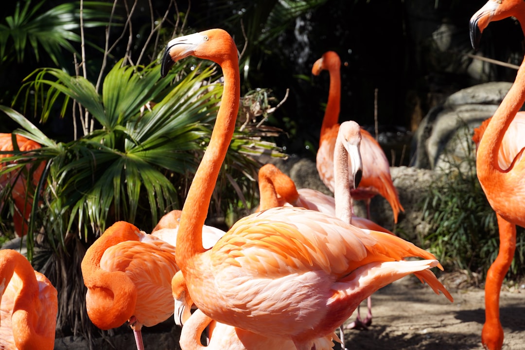 Big Easy Insider: A Local's Guide to the Hidden Gems of New Orleans… — Big Easy Insider