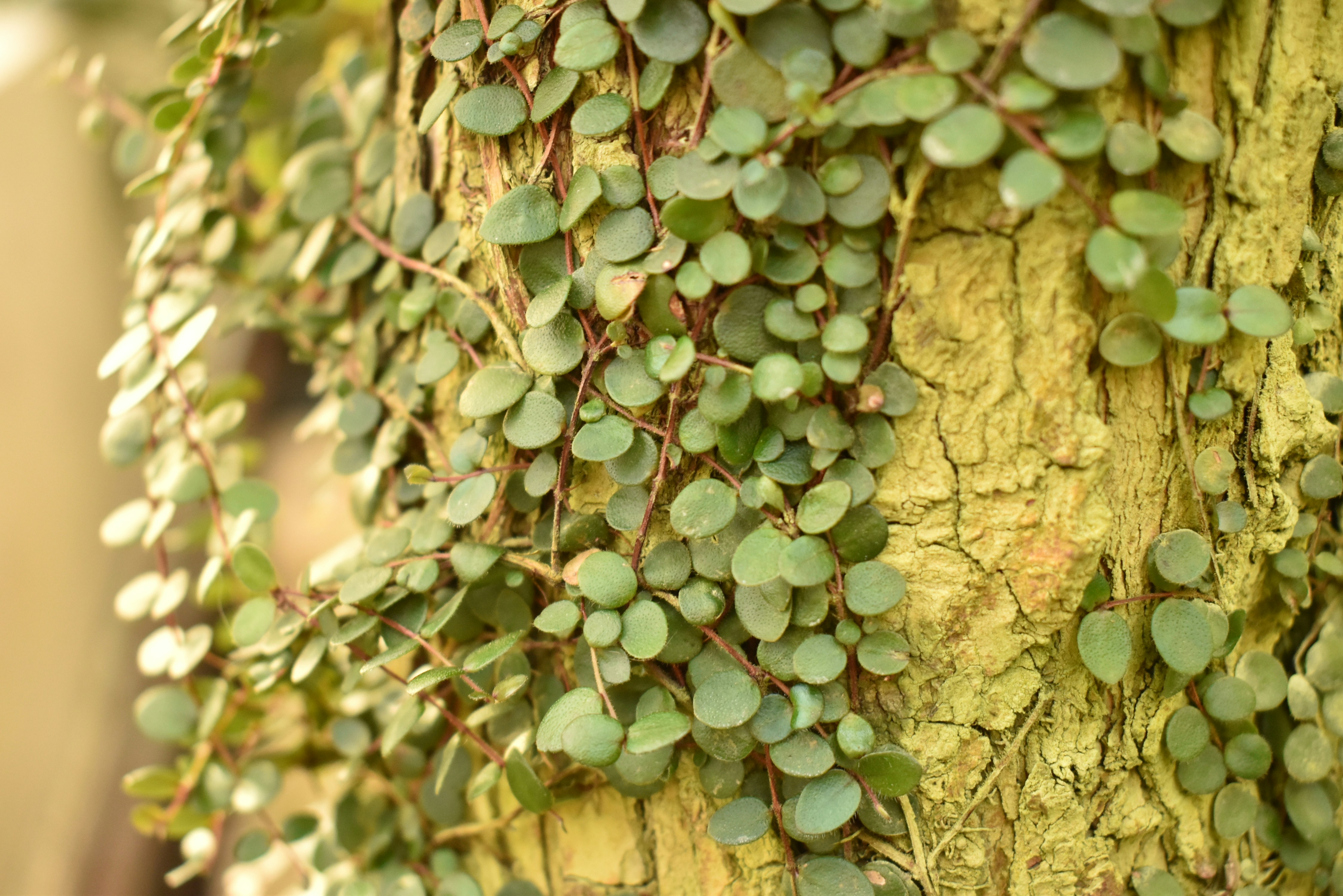 Photo by stado_bobrov