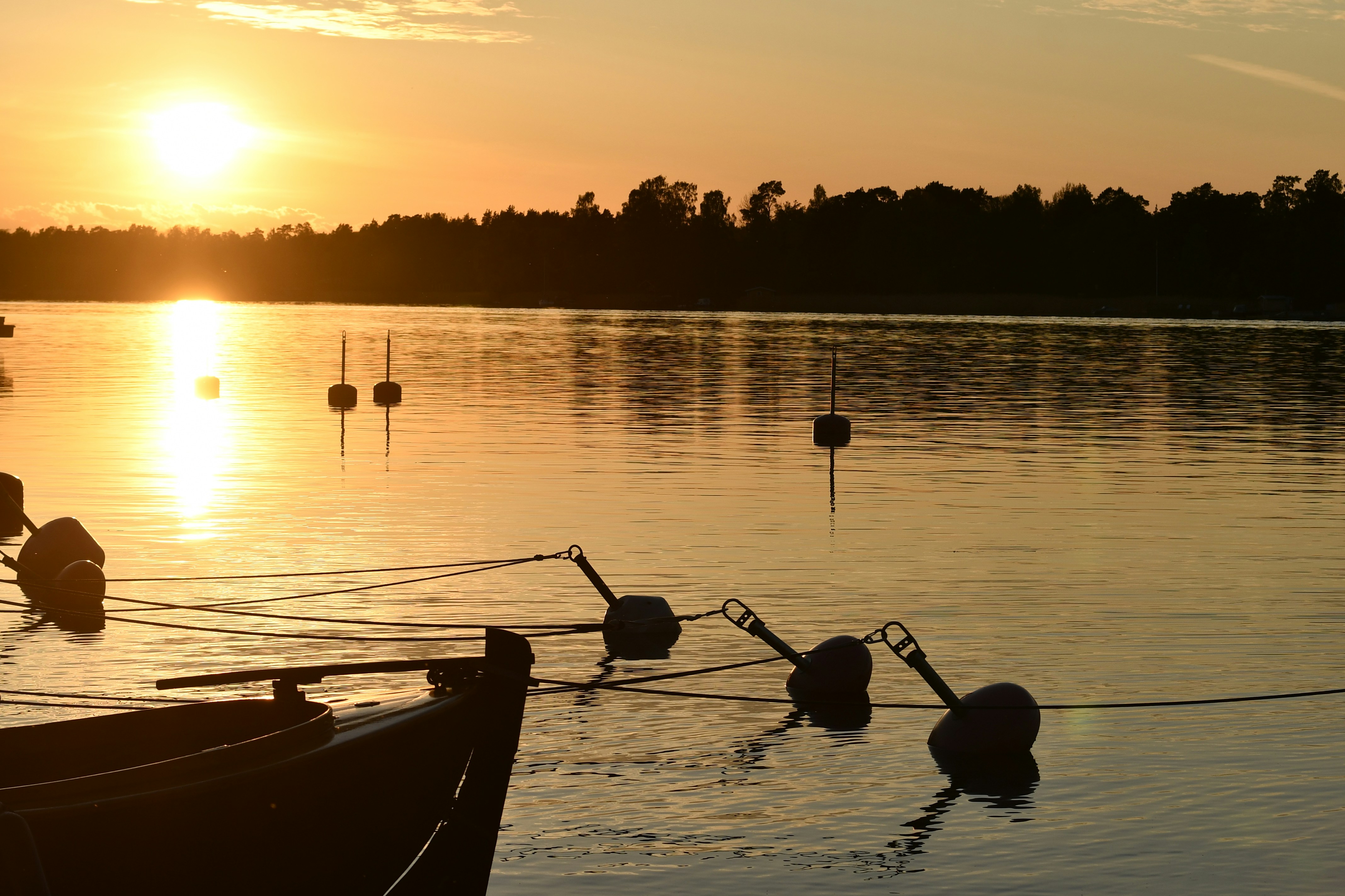 Photo by photobycarl