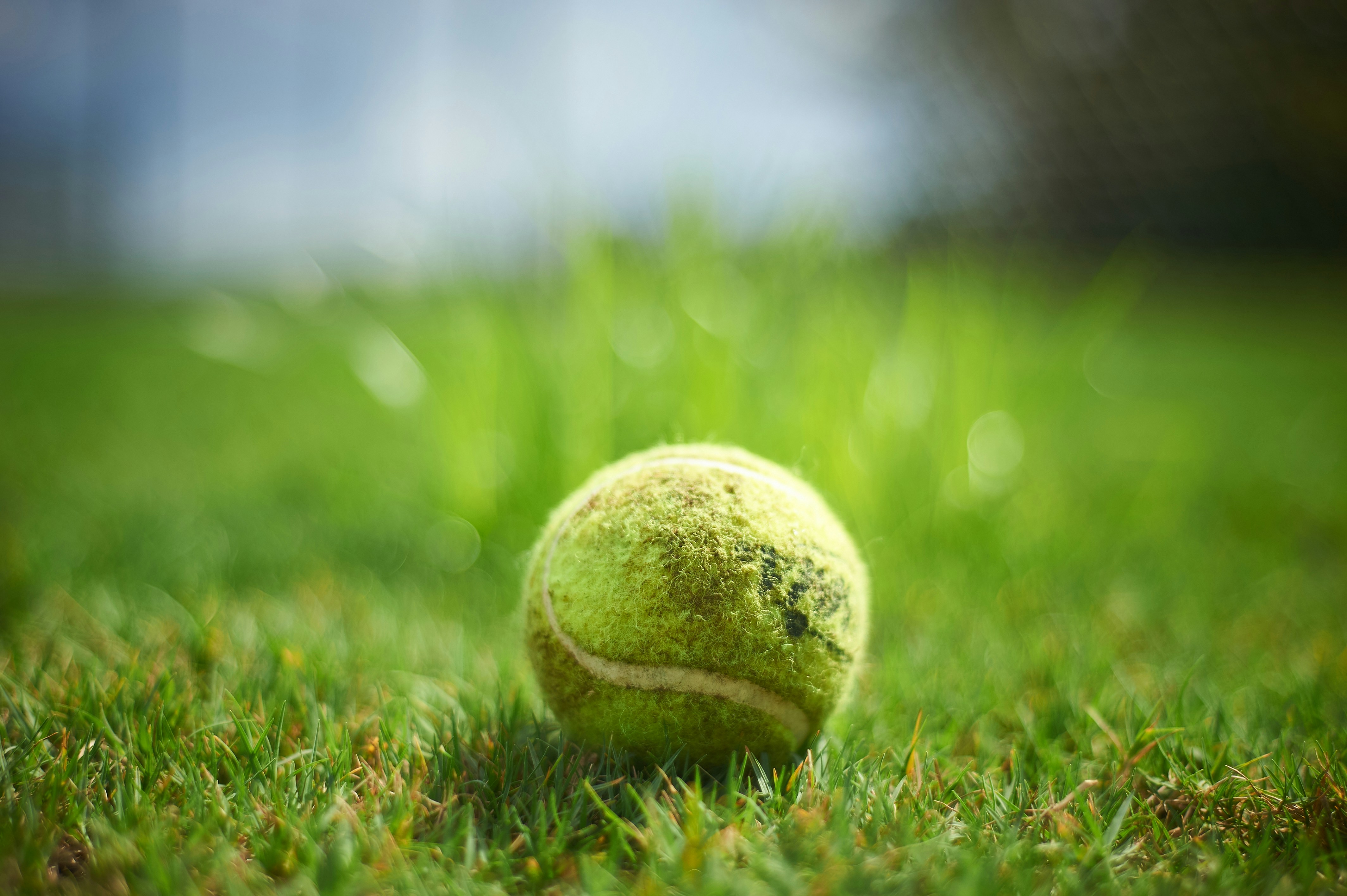 Heartfelt Birthday Wishes for Venus Williams — Tennis Legend