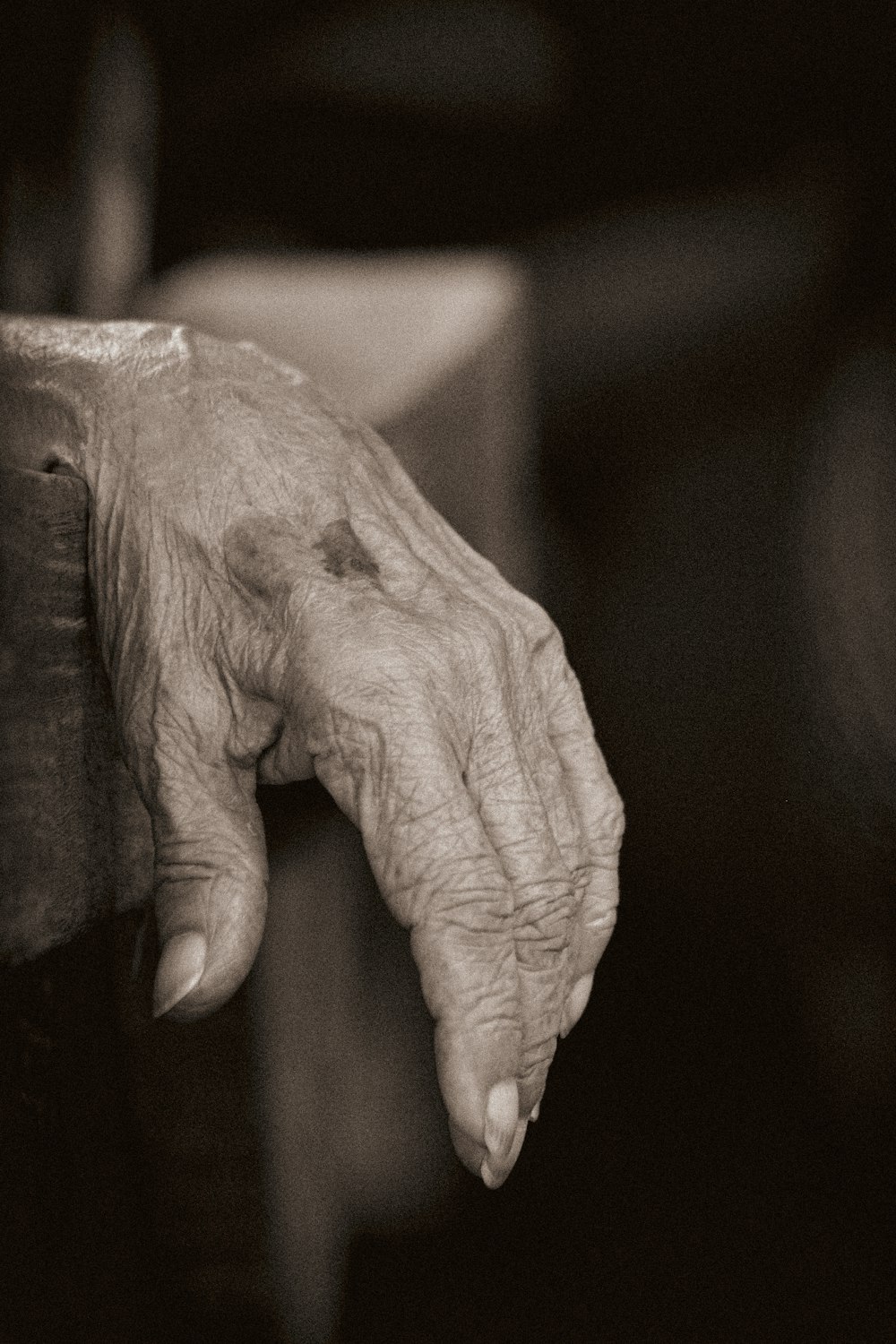 a black and white photo of an old woman's hand