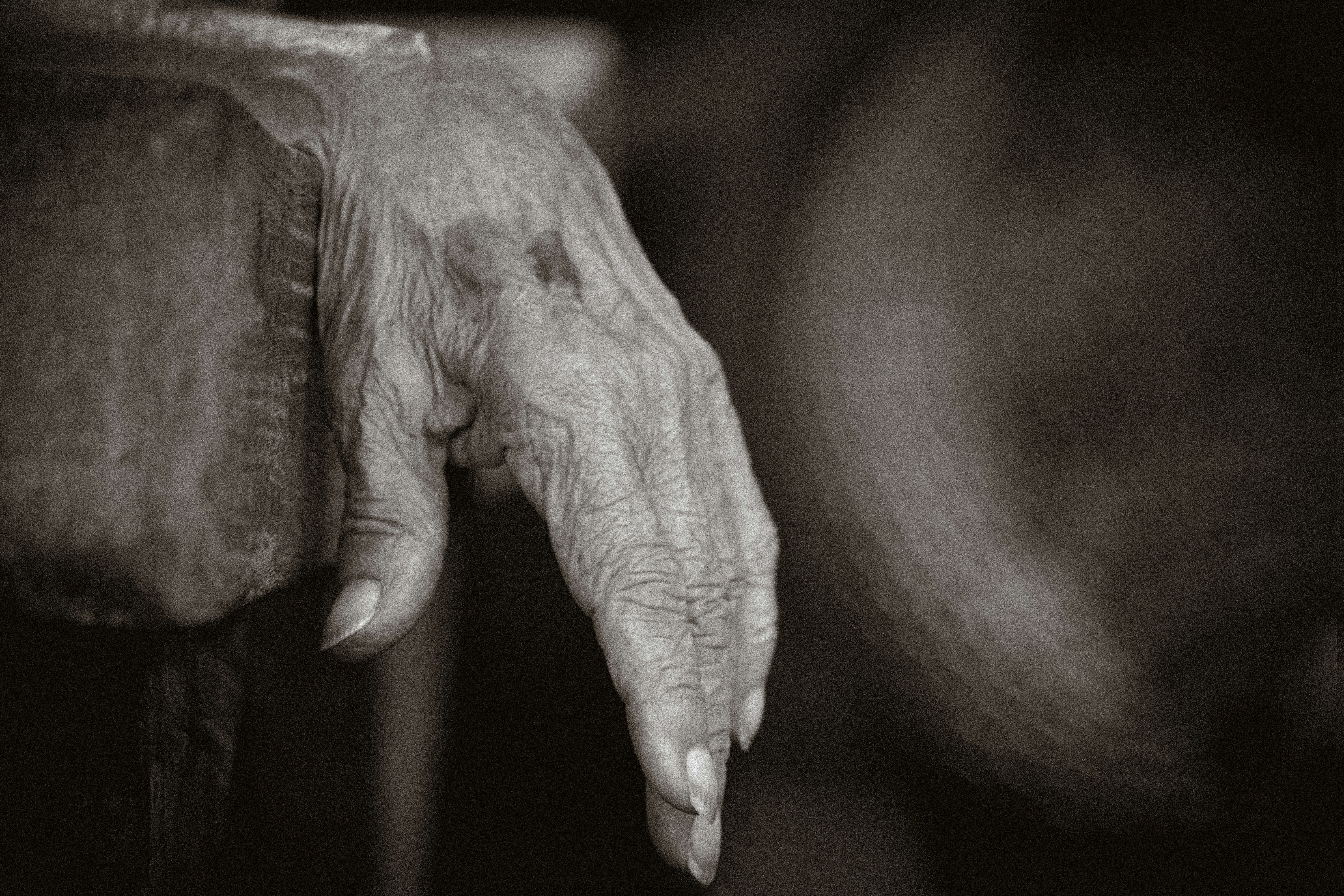 Photo by leocallegari