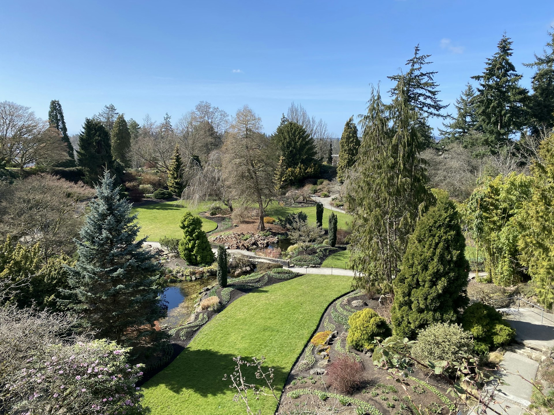 black and brown leather padded tub sofa