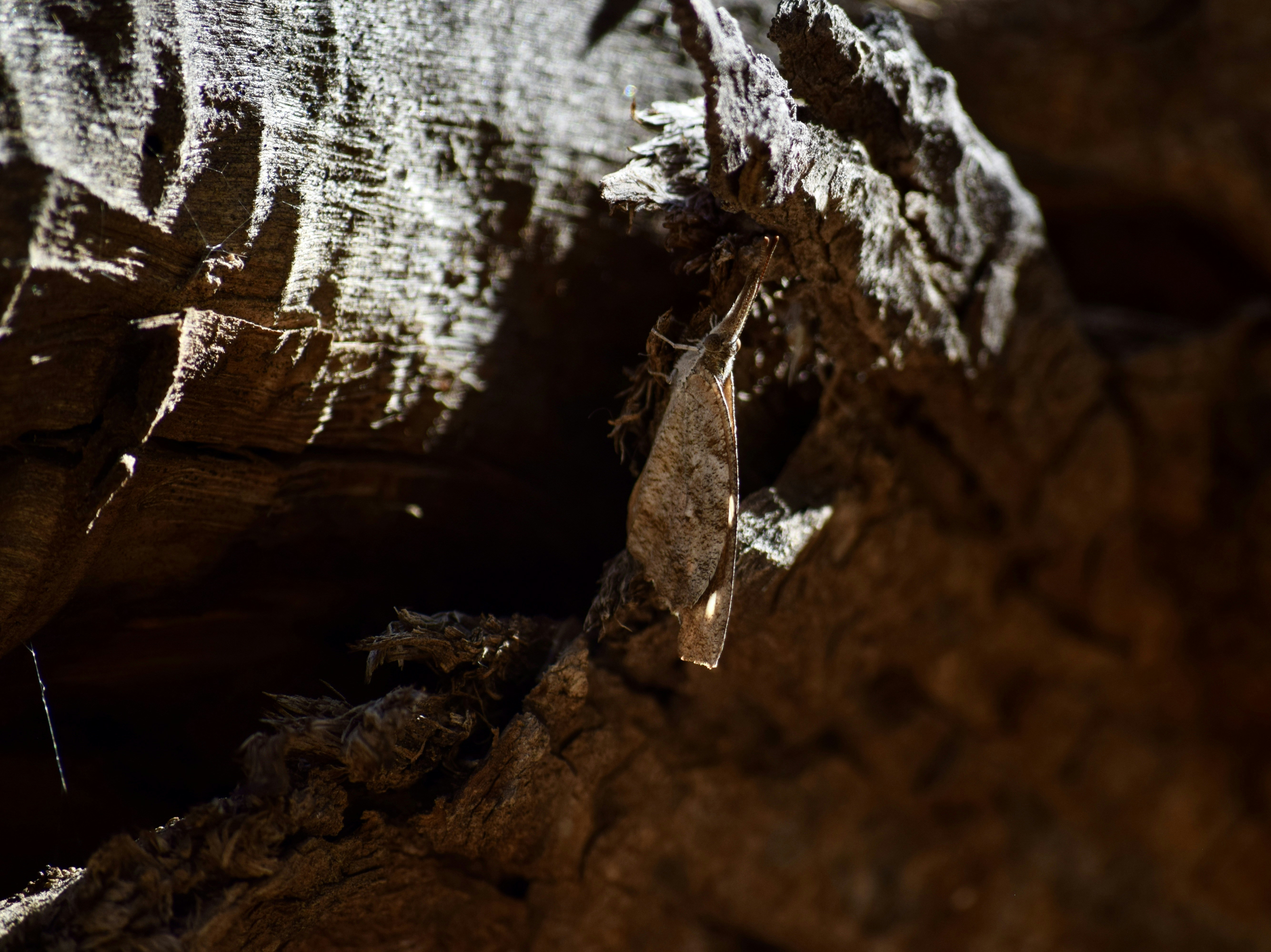 Photo by cowilderness