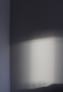 Soft shadows cast on a white wall, highlighting subtle movements and the play of light.