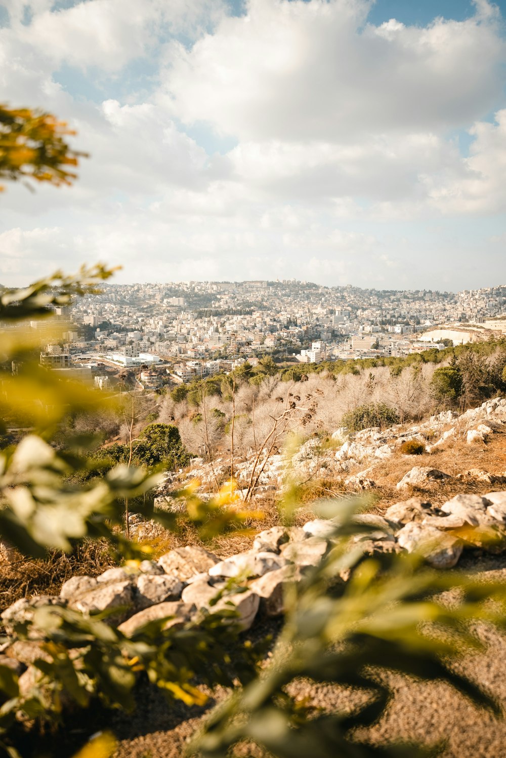 a view of a city from the top of a hill