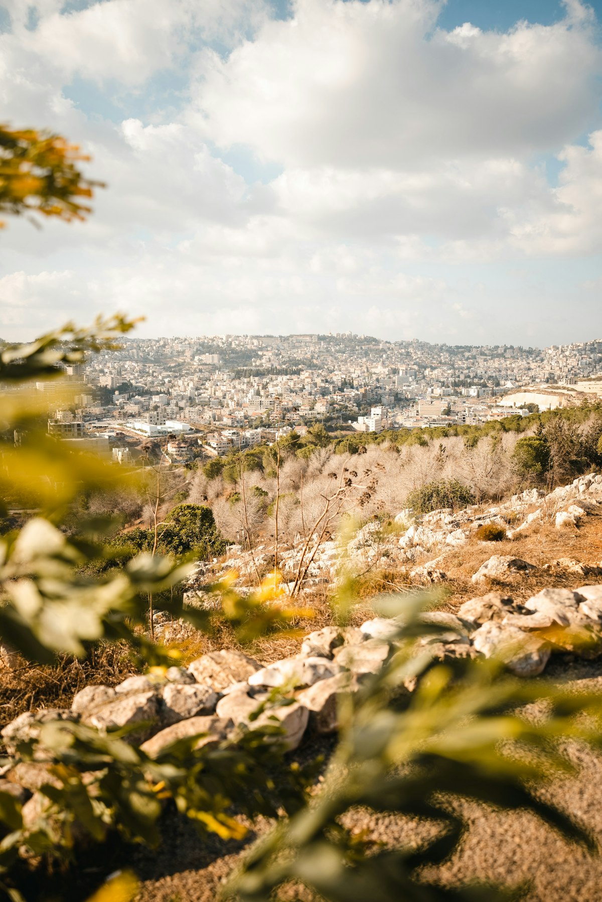 Jerusalem April — a view of the city from the Jerusalem Trail in golden spring afternoon light