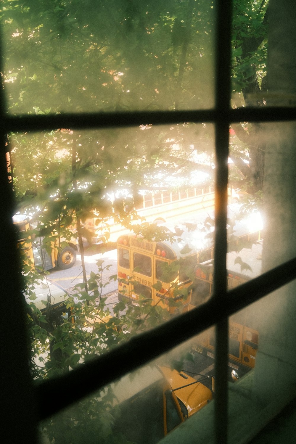a view of a school bus from a window