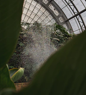 A sleek glass greenhouse bathed in morning sunlight with dew on the plants inside.