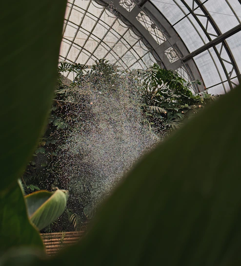 A sleek glass greenhouse bathed in morning sunlight with dew on the plants inside.
