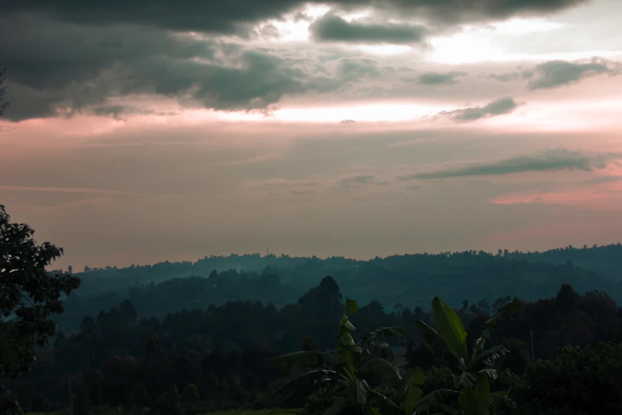 Mandhari ya kijani ya nyanda za juu karibu na Eldoret kwa huduma za mganga wa mapenzi