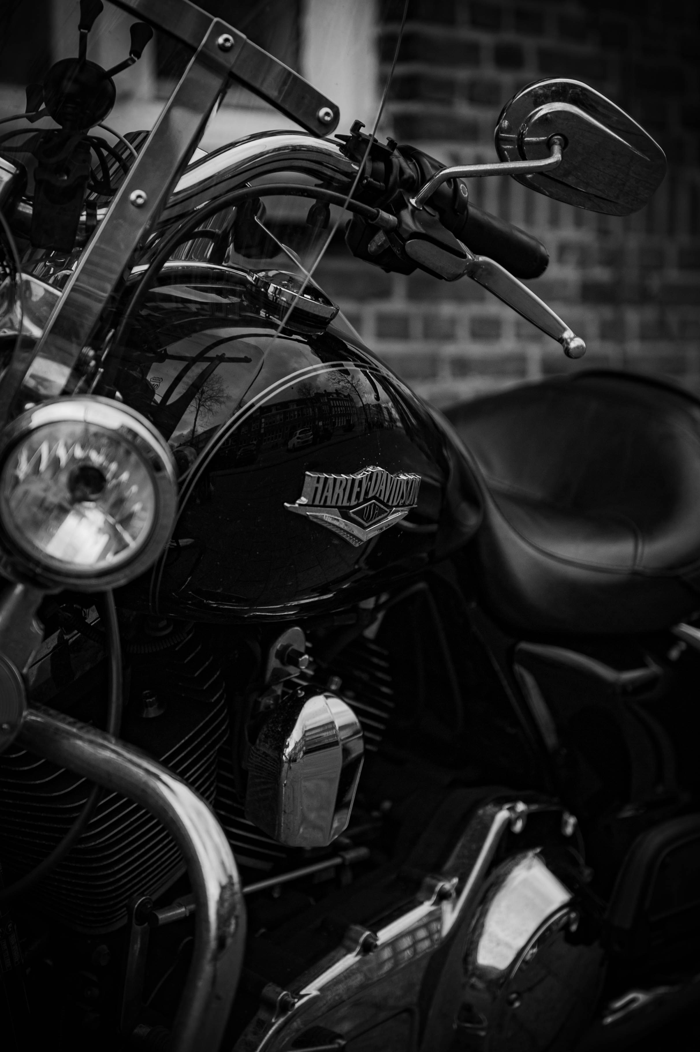 Photo by danielstiel