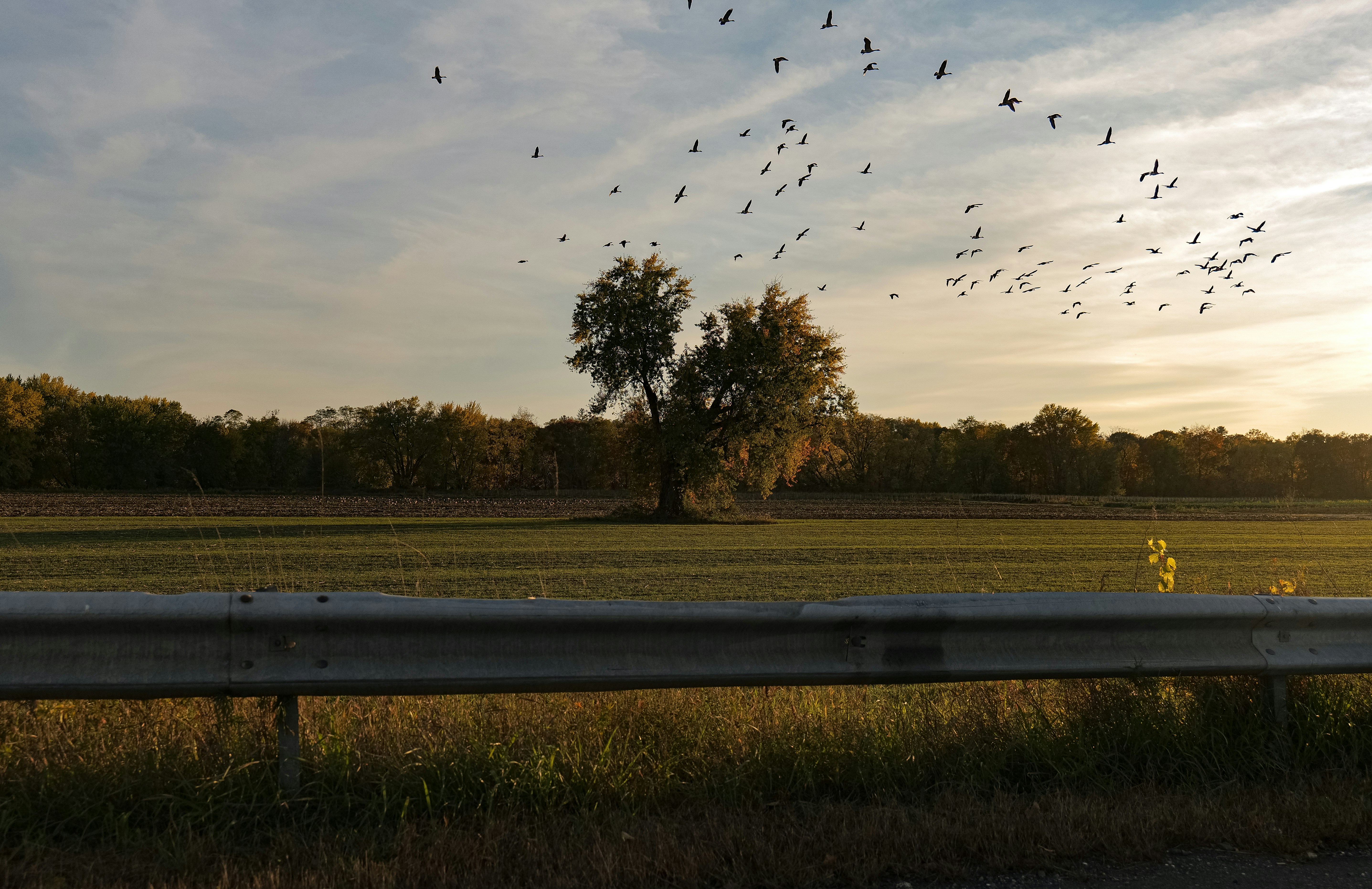 photo 1678141212885 15789d3fcdb7?crop=entropy&cs=tinysrgb&fit=max&fm=jpg&ixid=M3w1MjQ0NjR8MHwxfHNlYXJjaHwxMHx8UGVzdCUyMENvbnRyb2wlMjBTZXJ2aWNlJTIwU3QlMjBDaGFybGVzJTIwTWlzc291cml8ZW58MHwwfHx8MTc2MDMxMzIyNnww&ixlib=rb 4.1