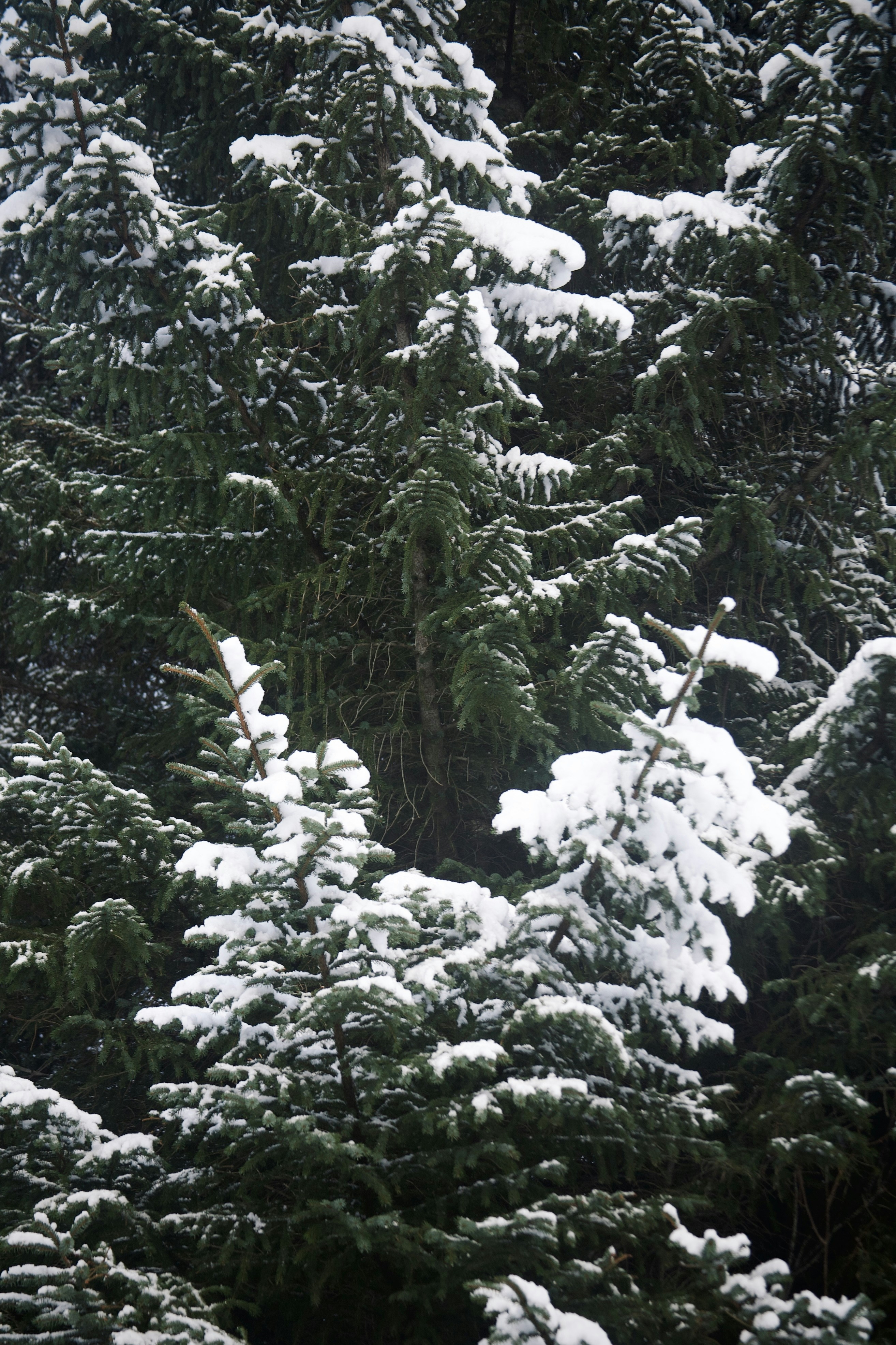 Photo by kristinokarlsen