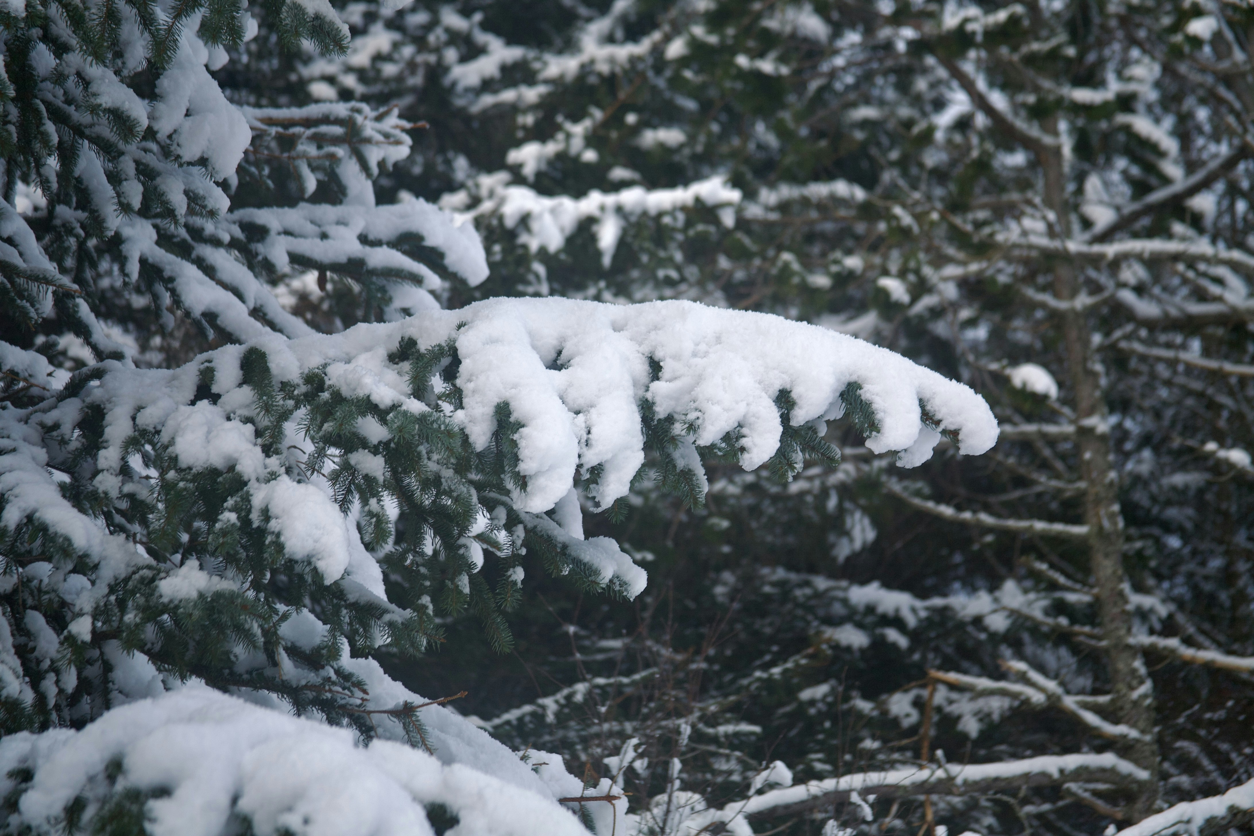 Photo by kristinokarlsen