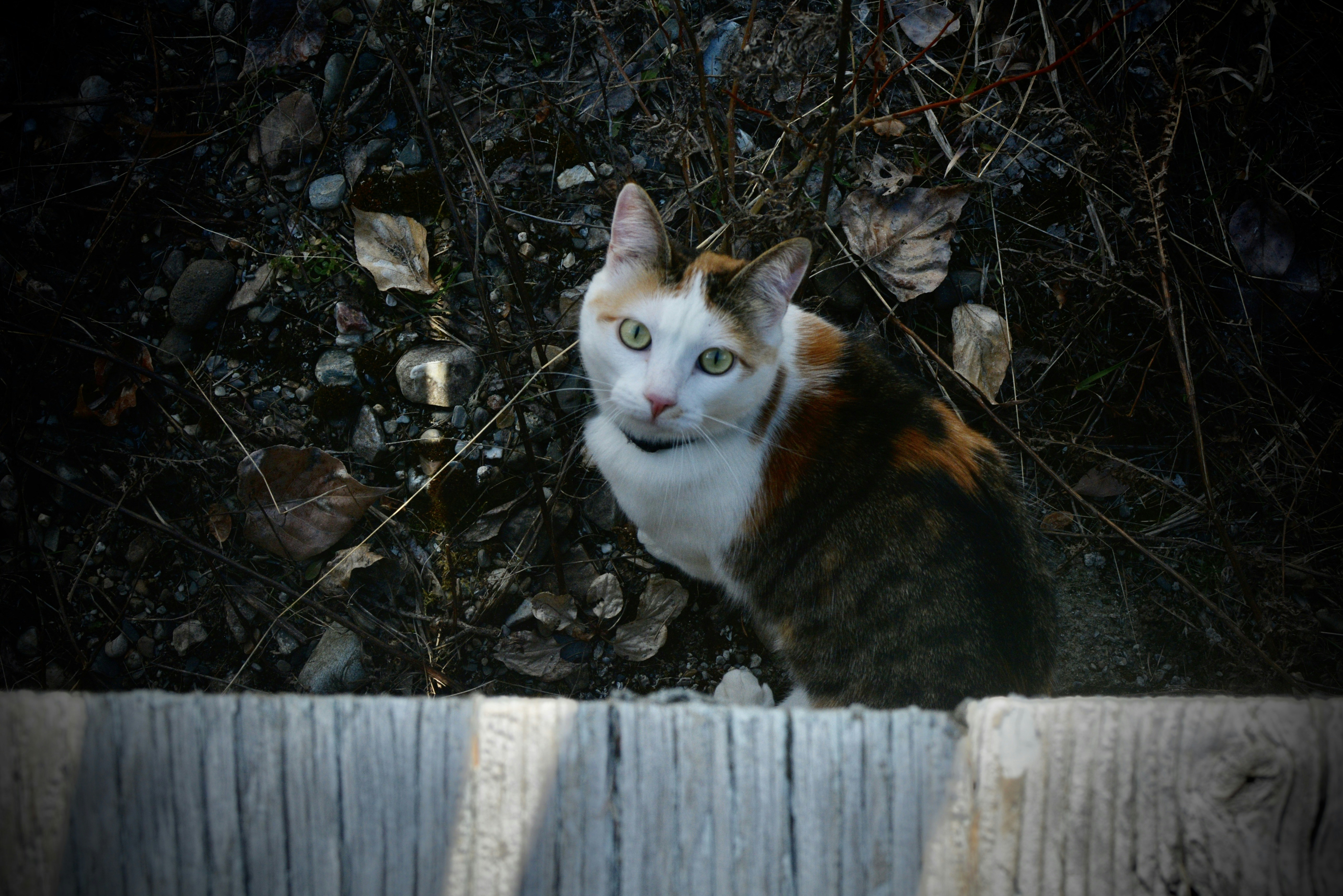 Photo by eliana_banana16